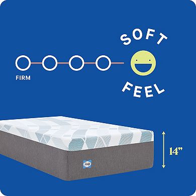 Sealy Dreamlife™ 14-in. Foam Mattress-in-a-Box