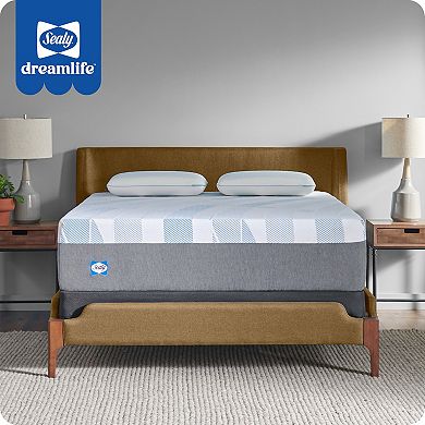 Sealy Dreamlife™ 14-in. Foam Mattress-in-a-Box