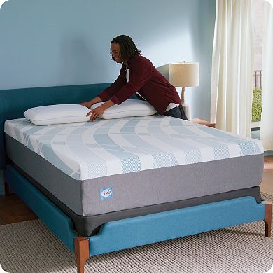 Sealy Dreamlife™ 14-in. Foam Mattress-in-a-Box