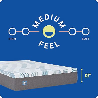 Sealy Dreamlife™ 12-in. Hybrid Mattress-in-a-Box