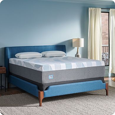 Sealy Dreamlife™ 14-in. Hybrid Mattress-in-a-Box