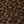 Cheetah Bison
