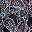 Black Ornate Paisley