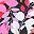 Black Pink Leaf