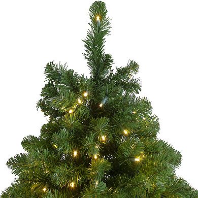 Northlight Pre-Lit Full Olympia Pine Artificial Christmas Tree