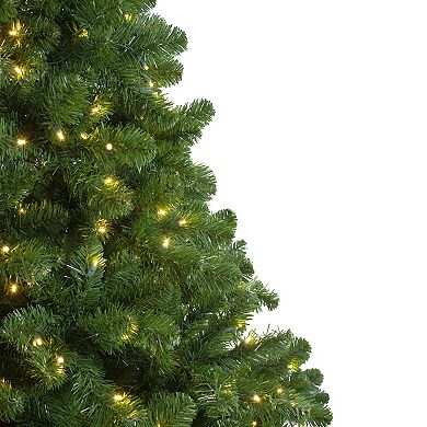 Northlight Pre-Lit Full Olympia Pine Artificial Christmas Tree