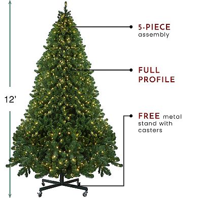 Northlight Pre-Lit Full Olympia Pine Artificial Christmas Tree
