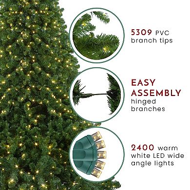 Northlight Pre-Lit Full Olympia Pine Artificial Christmas Tree