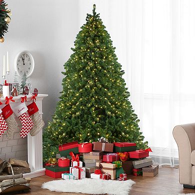 Northlight Pre-Lit Full Olympia Pine Artificial Christmas Tree