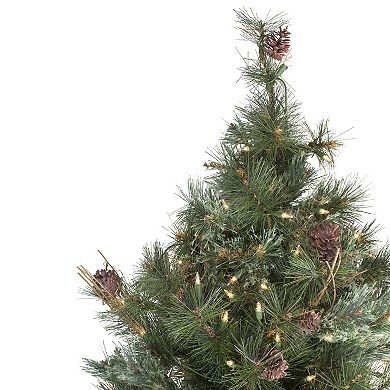 Northlight Pre-Lit Country Mixed Pine Artificial Christmas Wall / Door Tree