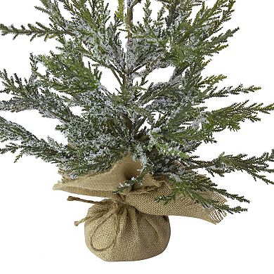 Northlight Real Touch Potted Medium Iced Cedar Artificial Christmas Tree