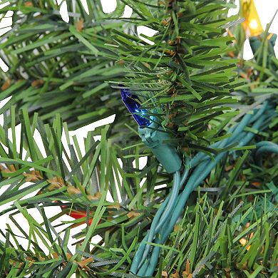 Northlight Pre-Lit Canadian Pine Artificial Christmas Garland