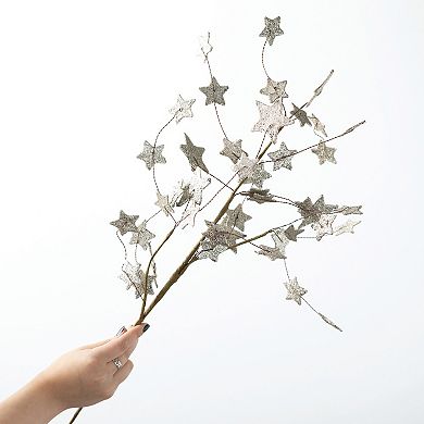 Haven Living 33" Artificial Christmas Gold Star Spray