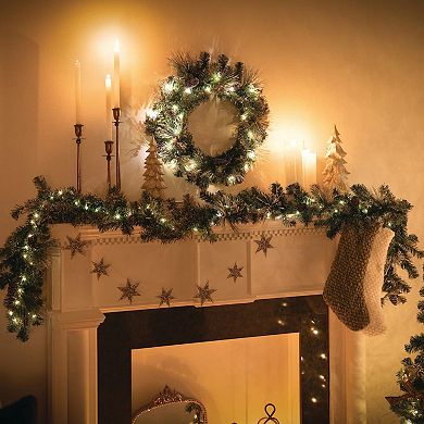 Haven Living 9 ft. LED Flocked Pine Artificial Christmas Garland with Pinecones