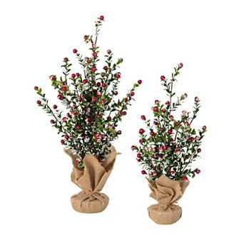Haven Living 2 pc Boxwood Berry Artificial Christmas Tree Set