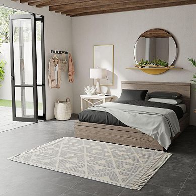 Mason Brooks Ibiza Minimalist Ikat Area Rug