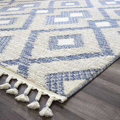 Mason Brooks Ibiza Tasseled Scroll Ikat Area Rug