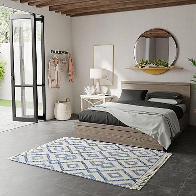 Mason Brooks Ibiza Tasseled Scroll Ikat Area Rug