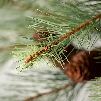 Haven Living 50-in. Artificial Small Black Hill Pine Christmas Tree