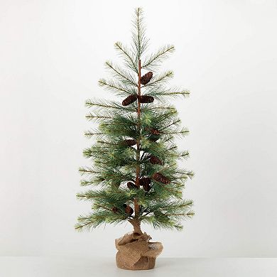 Haven Living 50-in. Artificial Small Black Hill Pine Christmas Tree