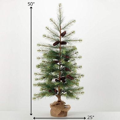 Haven Living 50-in. Artificial Small Black Hill Pine Christmas Tree