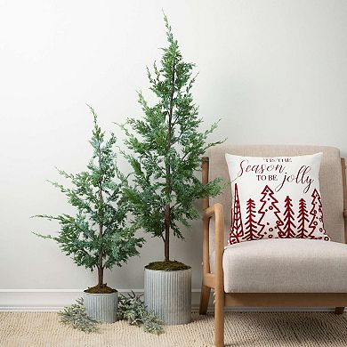 Haven Living 2-Piece Artificial Potted Cypress Christmas Tree Set