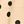 New Khaki Dot