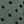 Pine Dot