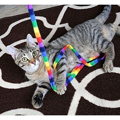 Cat Dancer Rainbow Cat Charmer, 2 Pack