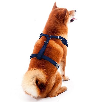NCAA Licensed Pet Leash - Alabama Crimson Tide, Medium Size, Shiny Nylon Dog  & Cat Leash
