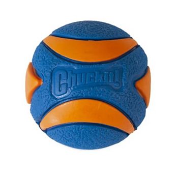 Chuckit Ultra Squeaker Ball Dog Toy
