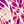 Berry Pink Batik Leaf
