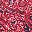 Paisley Print