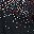Black Multi Sequin
