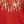 Vivid Red Sequin Burst