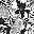 Black Floral Animal