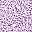 Lavender Abstract