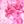 Pink Tropical