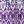 Purple Ombre Ikat