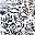 White Etchy Floral