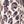 Animal Print