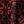 Classic Red Lace