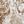 Neutral Toile
