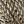 Neutral Abstract