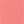 Sweet Coral