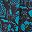 Black Teal Paisley