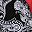 Black Paisley
