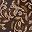 Coffee Bean Baroque