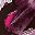 Deep Berry Floral