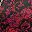 Red Floral